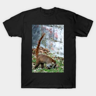 Guatemala - Site archéologique de Tikal, Animal Coatis T-Shirt